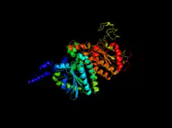 Carboxyltransferase Subunit of E. Coli Acetyl CoA Carboxylase