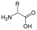 The skeletal formula of a general D-α-amino acid, the enantiomeric form not found in nature. D-amino acids can be synthesised artificially in a laboratory.