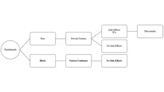 A decision tree for Frances Oldham Kelsey concerning Thalidomide decision