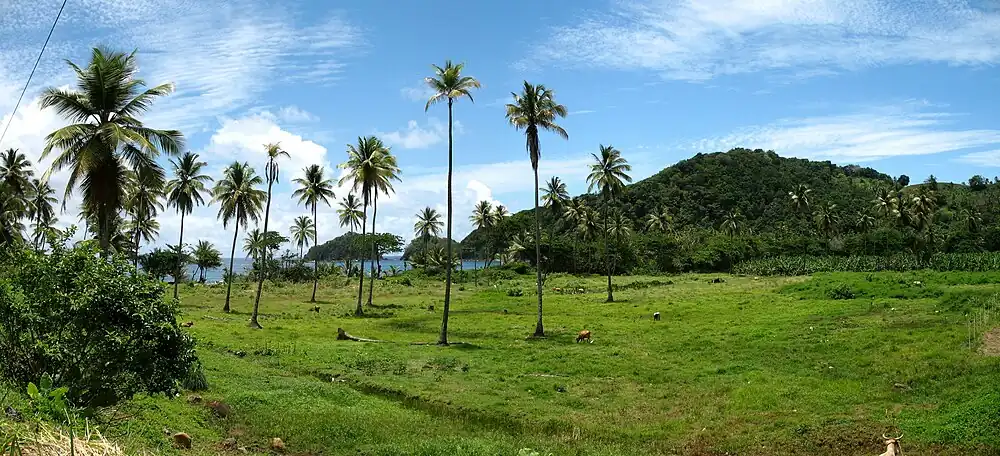 A photo of Dominica
