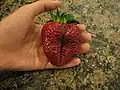 A large strawberry.