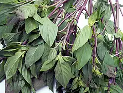 Thai basil