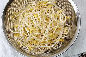 Soy bean sprouts