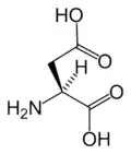 L-Aspartic acid (Asp / D)