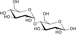 beta - maltose