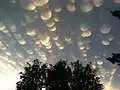 Mammatus clouds