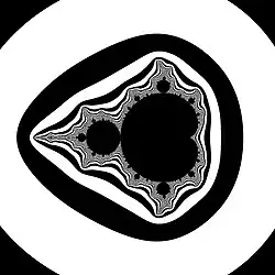 LSM/J B&W; ER = 1000