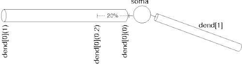 A schematic representation of a neuron with a soma and two dendrites.
