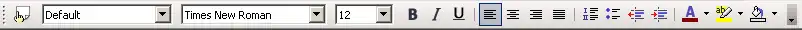 The formatting toolbar.