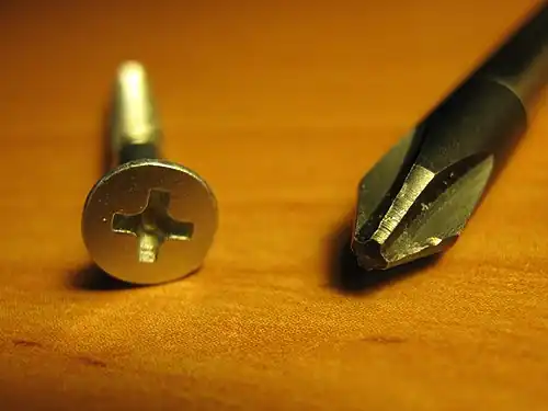 A Phillips head screw, and a matching screwdriver.