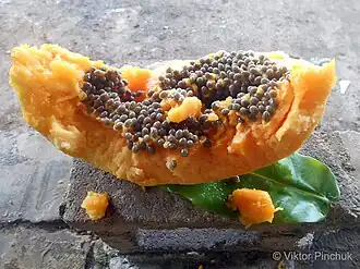 The gifts of the jungle: papaya. Eua Island, Tonga (2019)