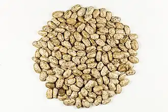 Pinto beans